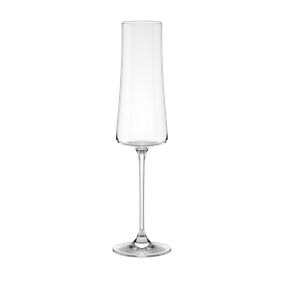 Taça para Espumante 210ml Pleasure Haus Concept Brinox em Cristal Bohemia